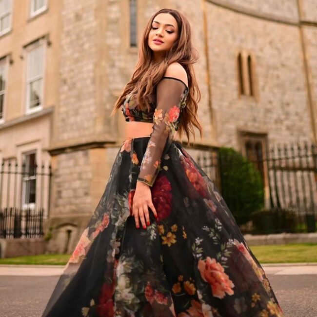 Lehenga Choli