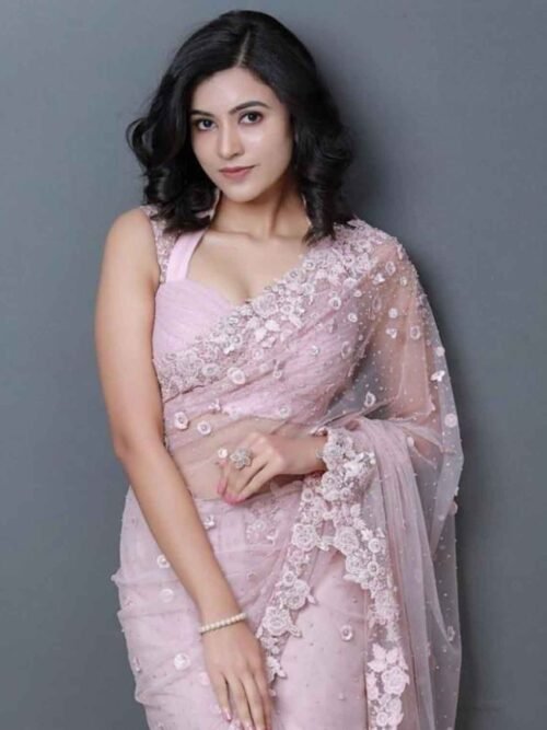 Pink Saree